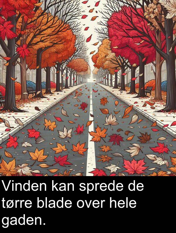 gaden: Vinden kan sprede de tørre blade over hele gaden.