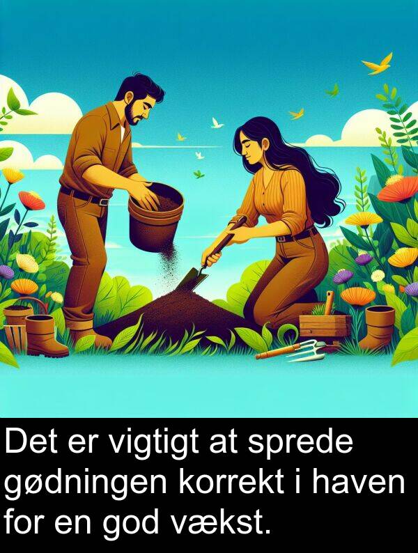 korrekt: Det er vigtigt at sprede gødningen korrekt i haven for en god vækst.