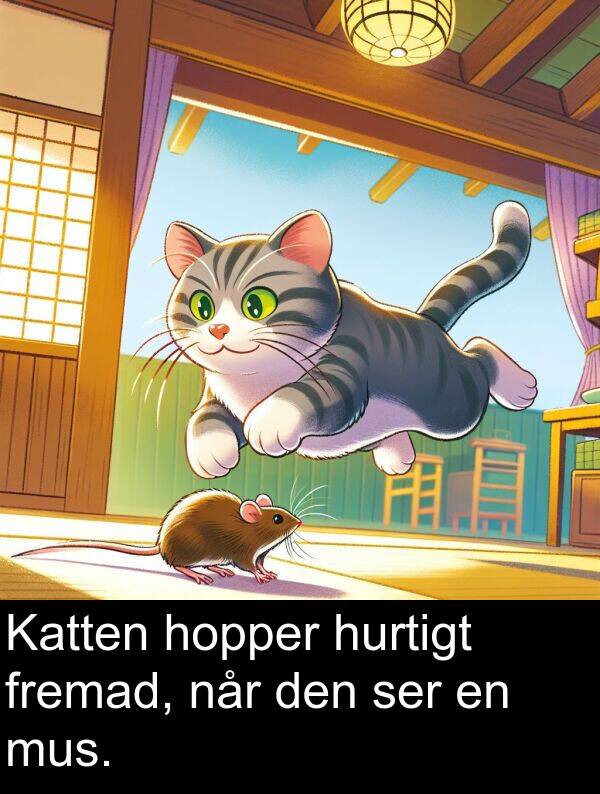 mus: Katten hopper hurtigt fremad, når den ser en mus.