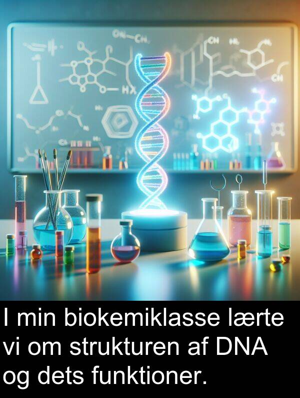 funktioner: I min biokemiklasse lærte vi om strukturen af DNA og dets funktioner.