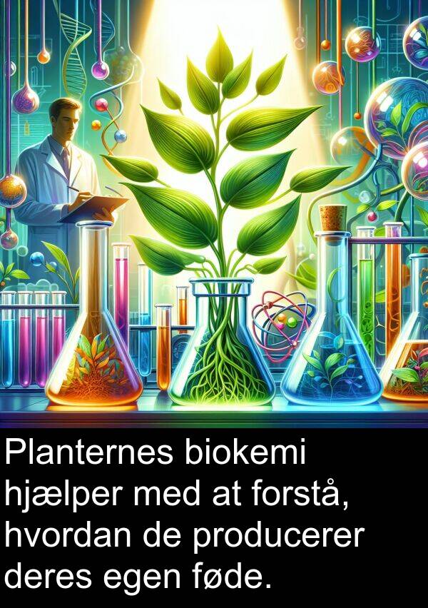 hvordan: Planternes biokemi hjælper med at forstå, hvordan de producerer deres egen føde.