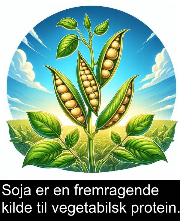 kilde: Soja er en fremragende kilde til vegetabilsk protein.
