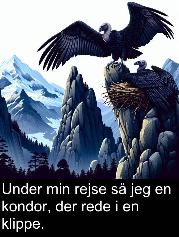 kondor: Under min rejse så jeg en kondor, der rede i en klippe.