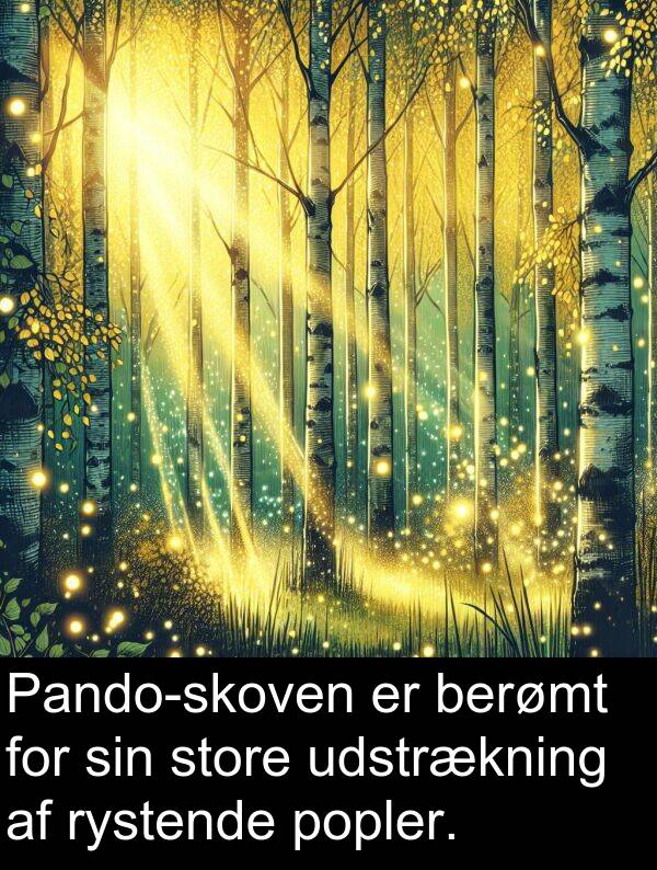berømt: Pando-skoven er berømt for sin store udstrækning af rystende popler.