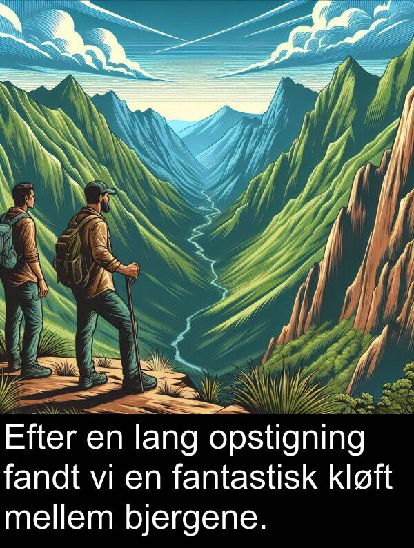 mellem: Efter en lang opstigning fandt vi en fantastisk kløft mellem bjergene.