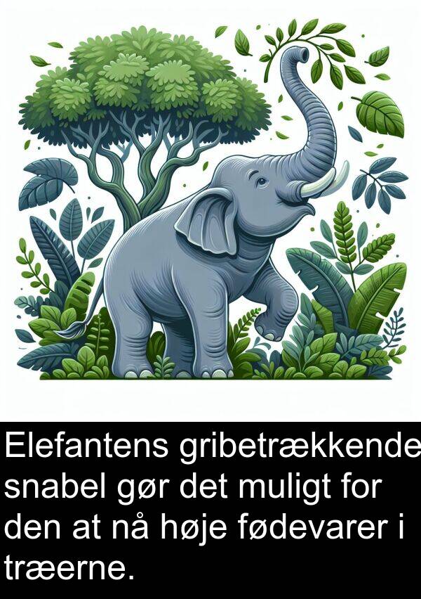muligt: Elefantens gribetrækkende snabel gør det muligt for den at nå høje fødevarer i træerne.