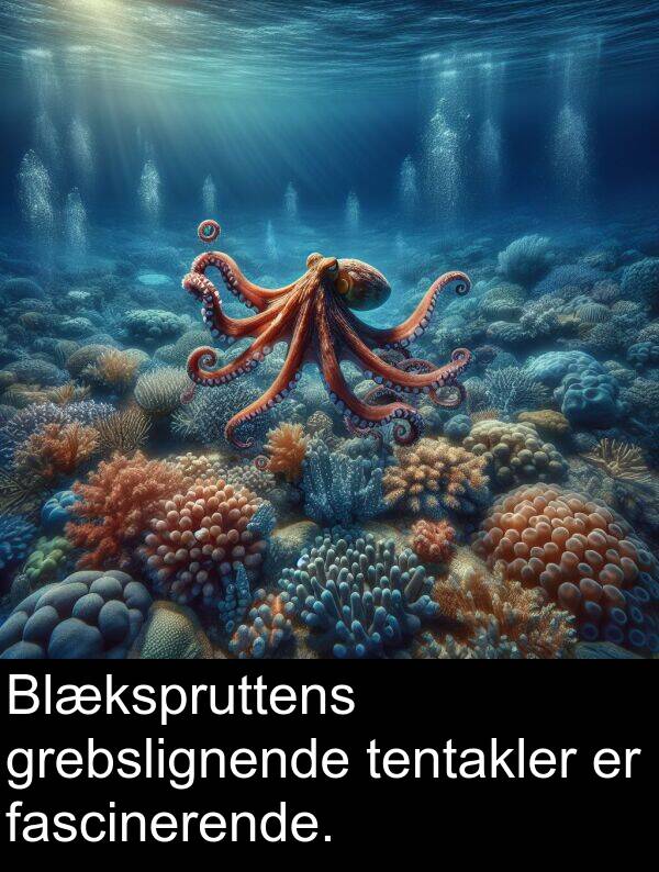 grebslignende: Blækspruttens grebslignende tentakler er fascinerende.