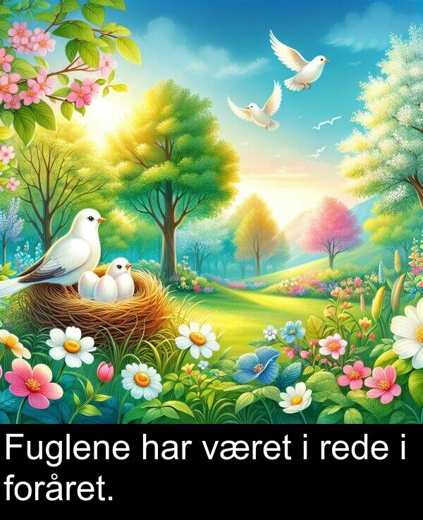 har: Fuglene har været i rede i foråret.