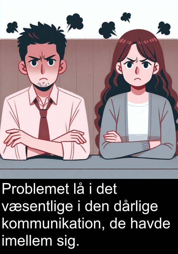 væsentlige: Problemet lå i det væsentlige i den dårlige kommunikation, de havde imellem sig.