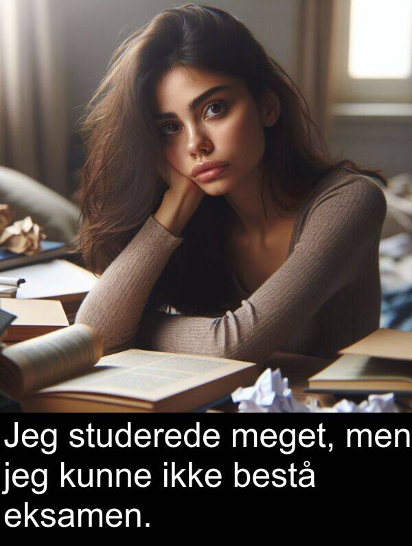 kunne: Jeg studerede meget, men jeg kunne ikke bestå eksamen.