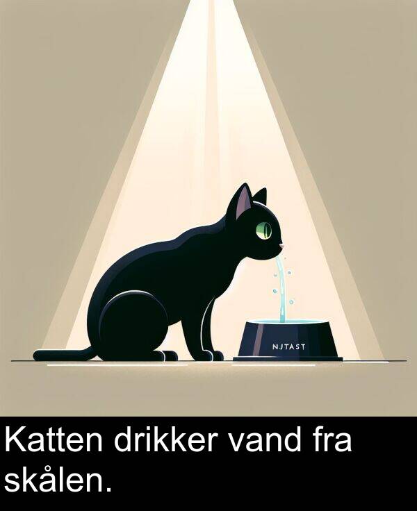 vand: Katten drikker vand fra skålen.
