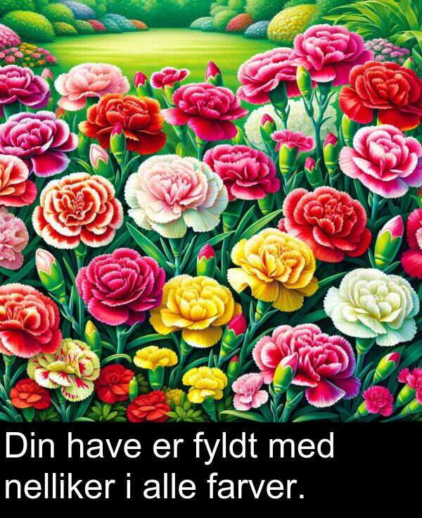 have: Din have er fyldt med nelliker i alle farver.