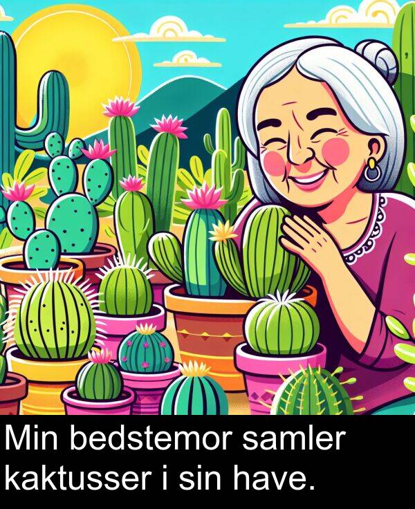 have: Min bedstemor samler kaktusser i sin have.