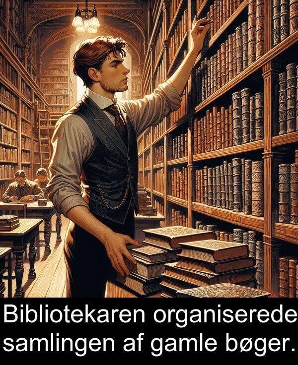 gamle: Bibliotekaren organiserede samlingen af gamle bøger.