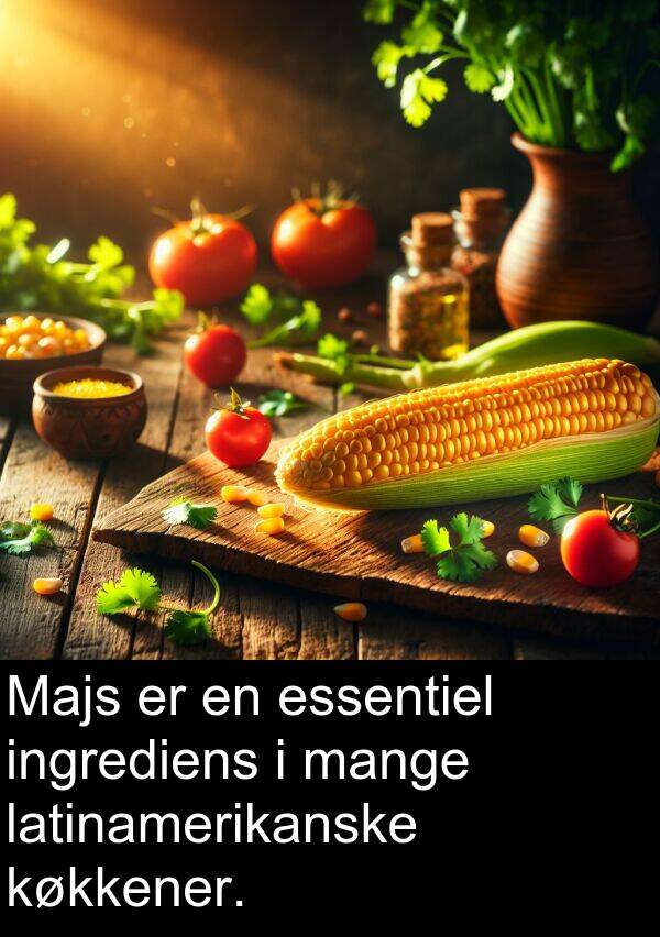 køkkener: Majs er en essentiel ingrediens i mange latinamerikanske køkkener.