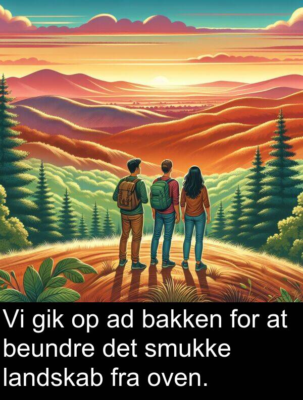 landskab: Vi gik op ad bakken for at beundre det smukke landskab fra oven.