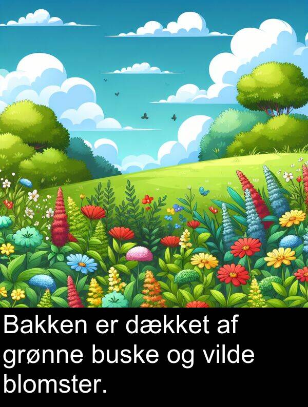 vilde: Bakken er dækket af grønne buske og vilde blomster.