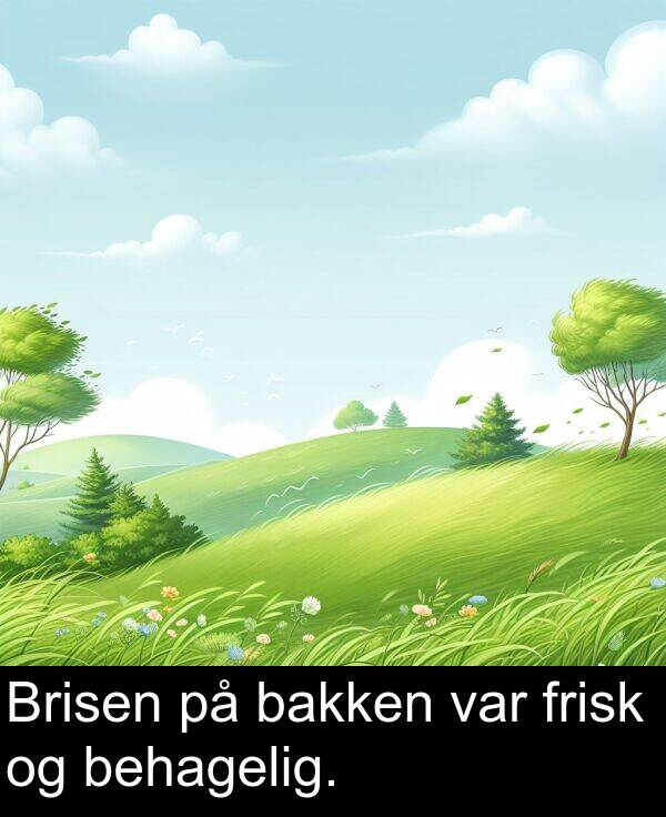 var: Brisen på bakken var frisk og behagelig.