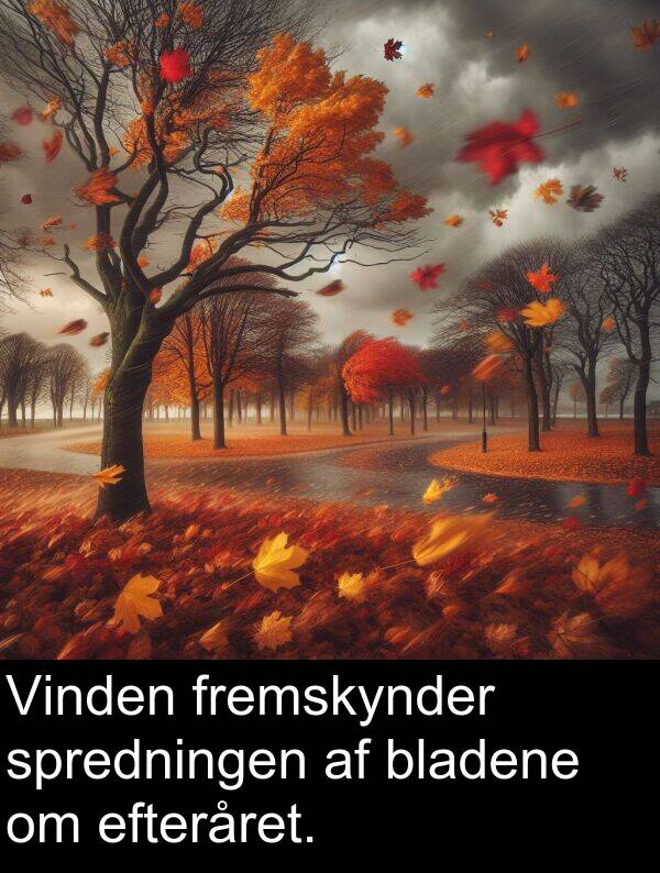 fremskynder: Vinden fremskynder spredningen af bladene om efteråret.