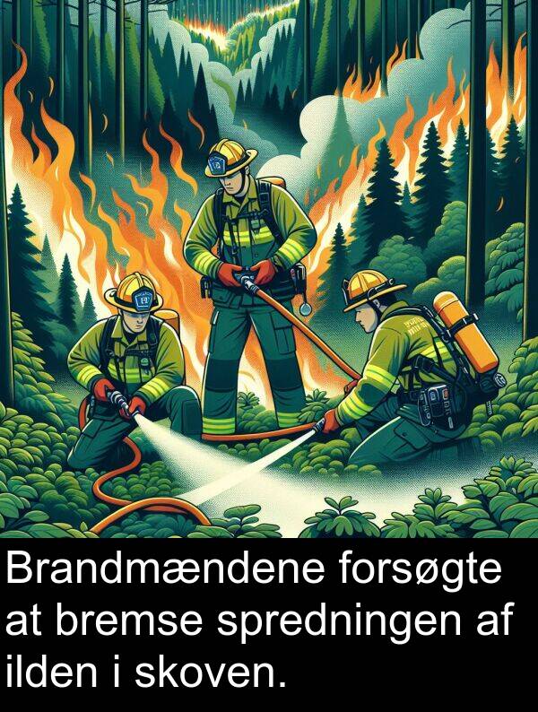 forsøgte: Brandmændene forsøgte at bremse spredningen af ilden i skoven.