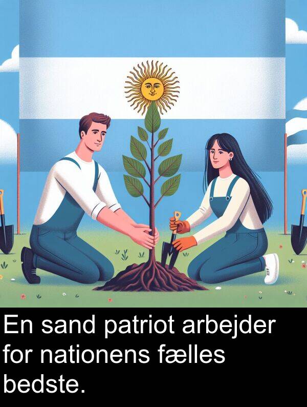 patriot: En sand patriot arbejder for nationens fælles bedste.