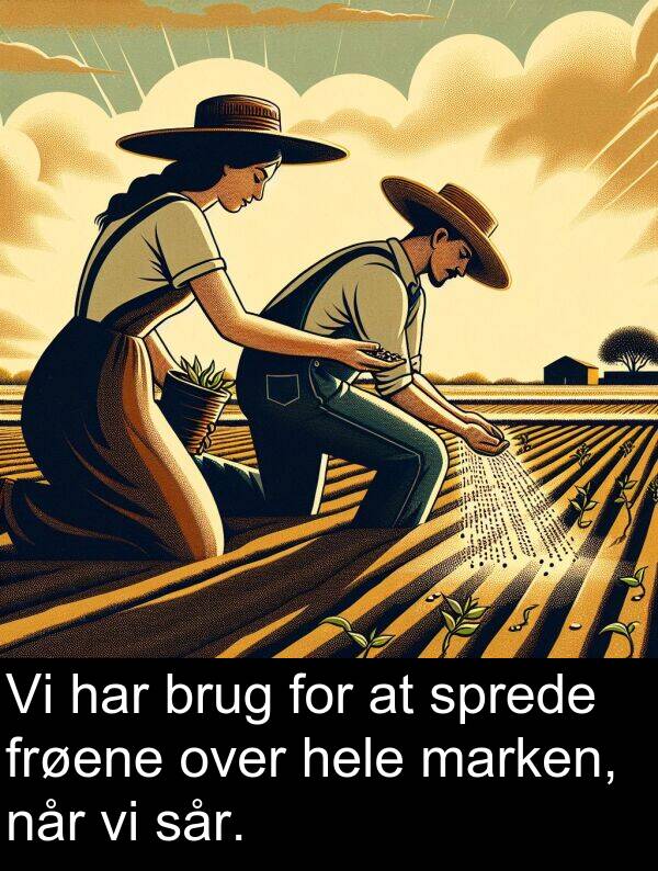 marken: Vi har brug for at sprede frøene over hele marken, når vi sår.