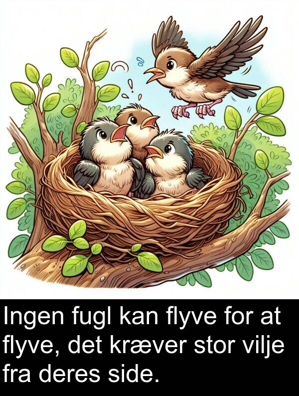 kræver: Ingen fugl kan flyve for at flyve, det kræver stor vilje fra deres side.