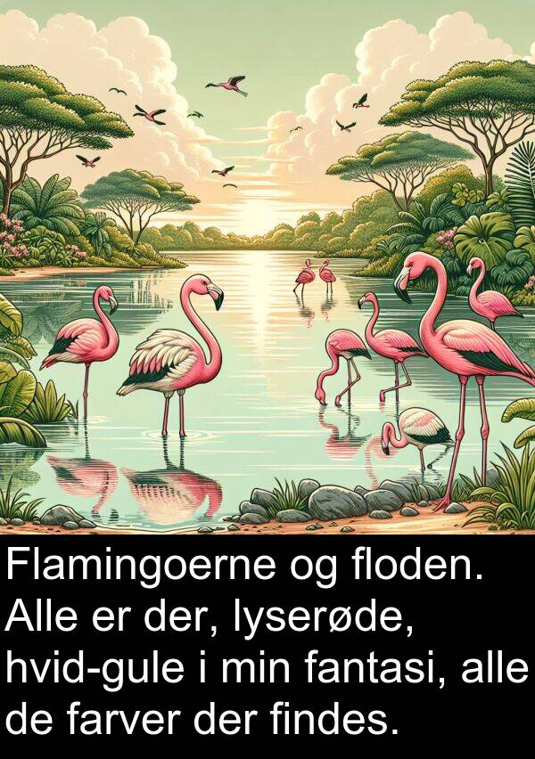 fantasi: Flamingoerne og floden. Alle er der, lyserøde, hvid-gule i min fantasi, alle de farver der findes.