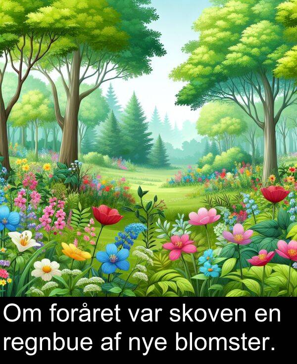 foråret: Om foråret var skoven en regnbue af nye blomster.