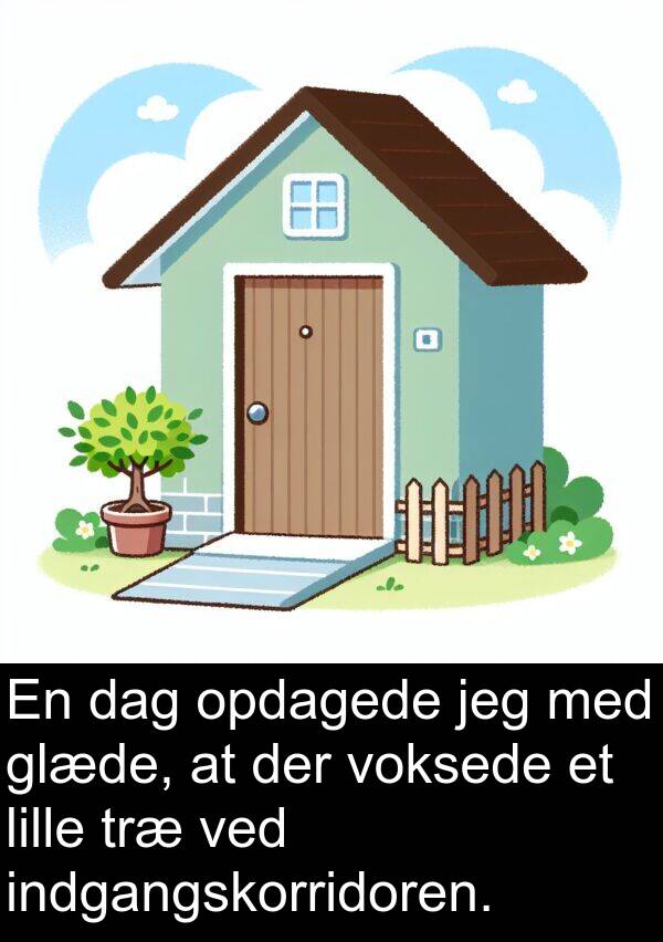 voksede: En dag opdagede jeg med glæde, at der voksede et lille træ ved indgangskorridoren.