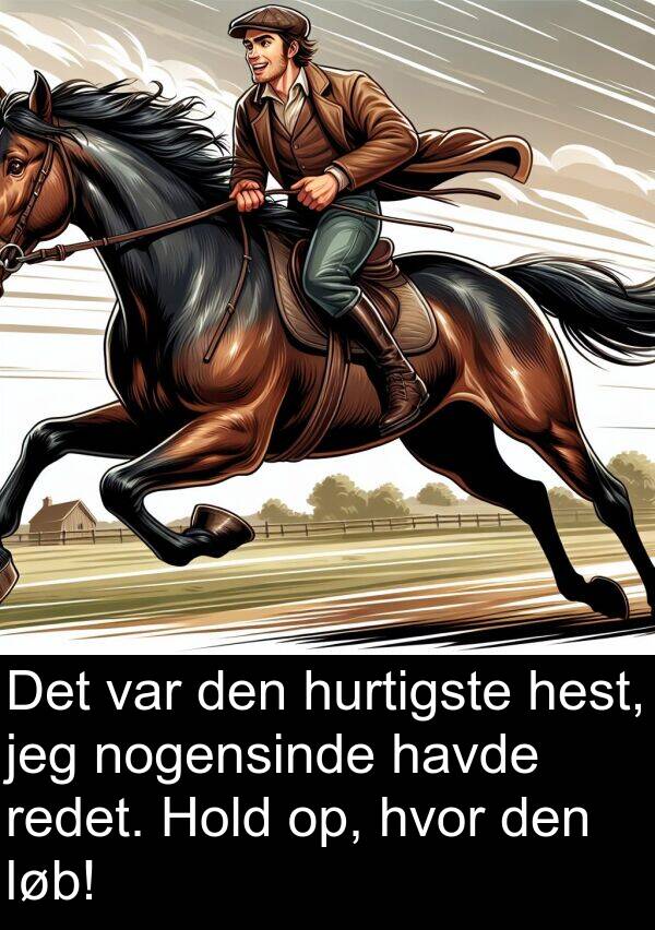 hvor: Det var den hurtigste hest, jeg nogensinde havde redet. Hold op, hvor den løb!