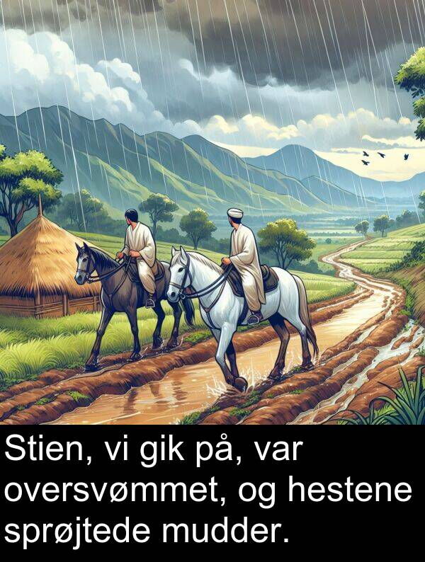 mudder: Stien, vi gik på, var oversvømmet, og hestene sprøjtede mudder.