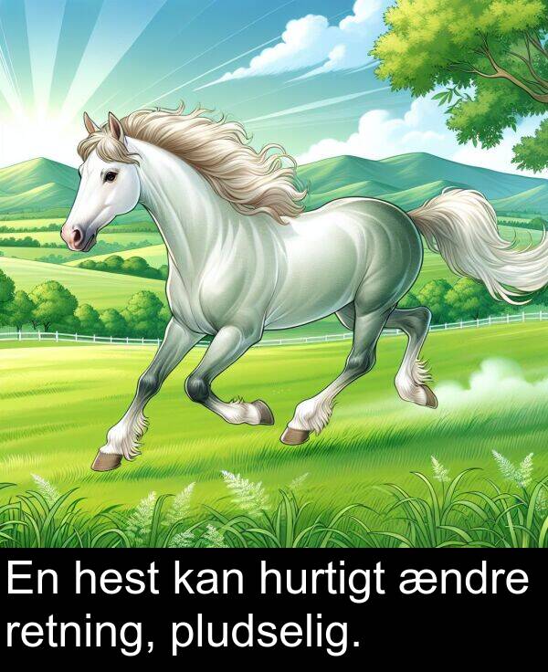 hurtigt: En hest kan hurtigt ændre retning, pludselig.
