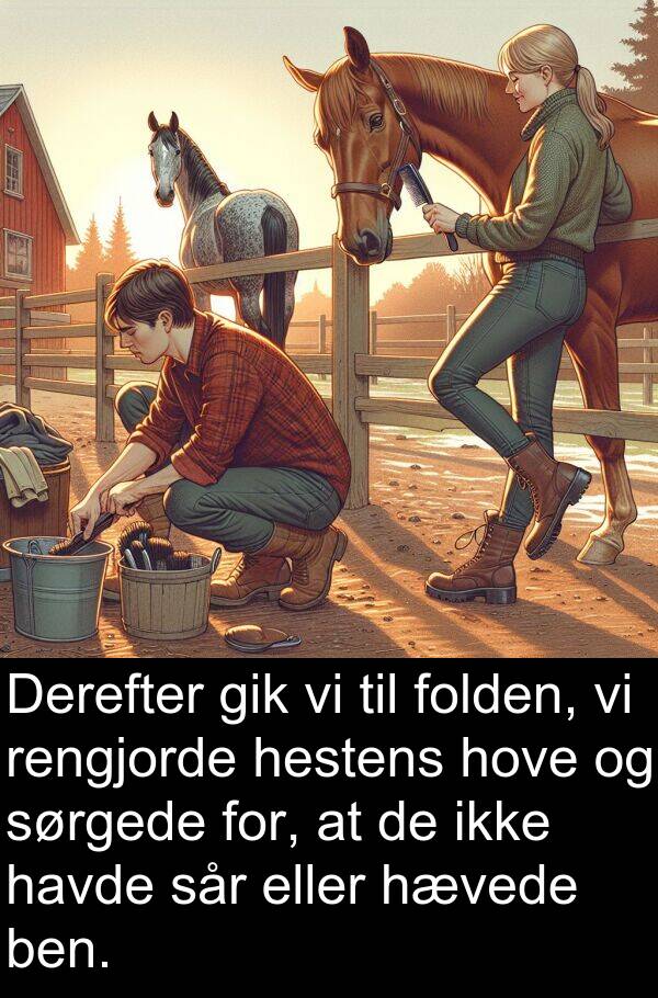 hove: Derefter gik vi til folden, vi rengjorde hestens hove og sørgede for, at de ikke havde sår eller hævede ben.
