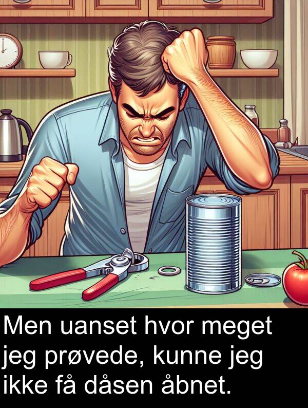 kunne: Men uanset hvor meget jeg prøvede, kunne jeg ikke få dåsen åbnet.