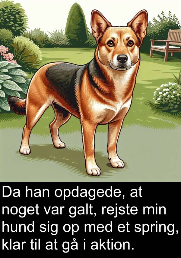 galt: Da han opdagede, at noget var galt, rejste min hund sig op med et spring, klar til at gå i aktion.