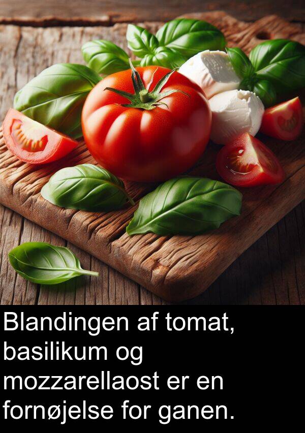 mozzarellaost: Blandingen af tomat, basilikum og mozzarellaost er en fornøjelse for ganen.