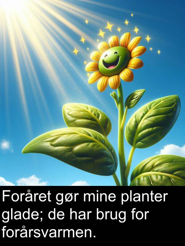 mine: Foråret gør mine planter glade; de har brug for forårsvarmen.