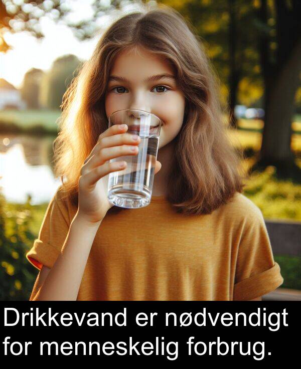menneskelig: Drikkevand er nødvendigt for menneskelig forbrug.