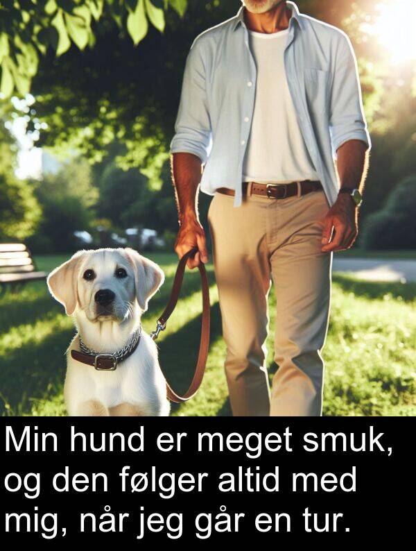 hund: Min hund er meget smuk, og den følger altid med mig, når jeg går en tur.