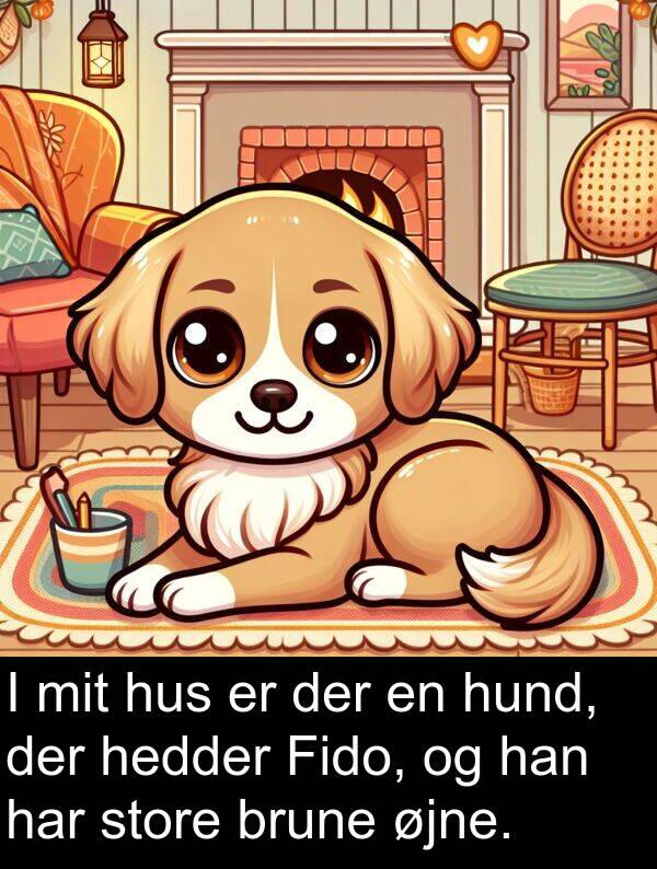 øjne: I mit hus er der en hund, der hedder Fido, og han har store brune øjne.