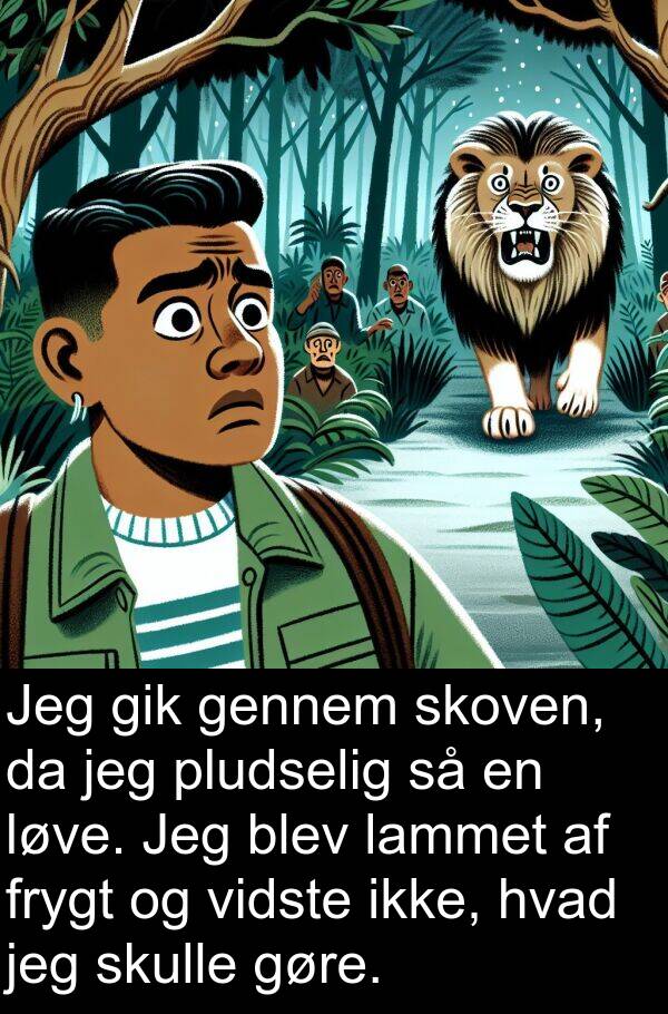 vidste: Jeg gik gennem skoven, da jeg pludselig så en løve. Jeg blev lammet af frygt og vidste ikke, hvad jeg skulle gøre.