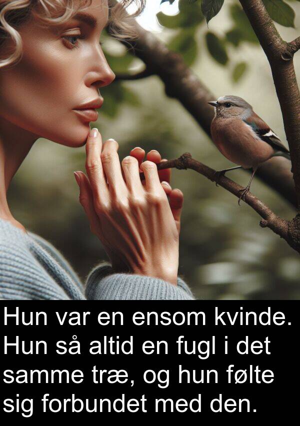 kvinde: Hun var en ensom kvinde. Hun så altid en fugl i det samme træ, og hun følte sig forbundet med den.