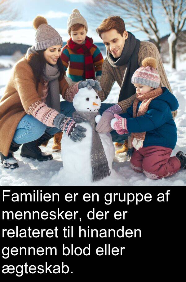ægteskab: Familien er en gruppe af mennesker, der er relateret til hinanden gennem blod eller ægteskab.