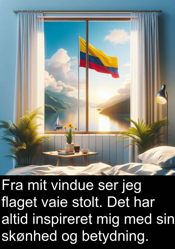 vindue: Fra mit vindue ser jeg flaget vaie stolt. Det har altid inspireret mig med sin skønhed og betydning.