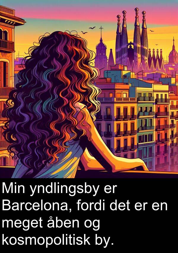 kosmopolitisk: Min yndlingsby er Barcelona, fordi det er en meget åben og kosmopolitisk by.