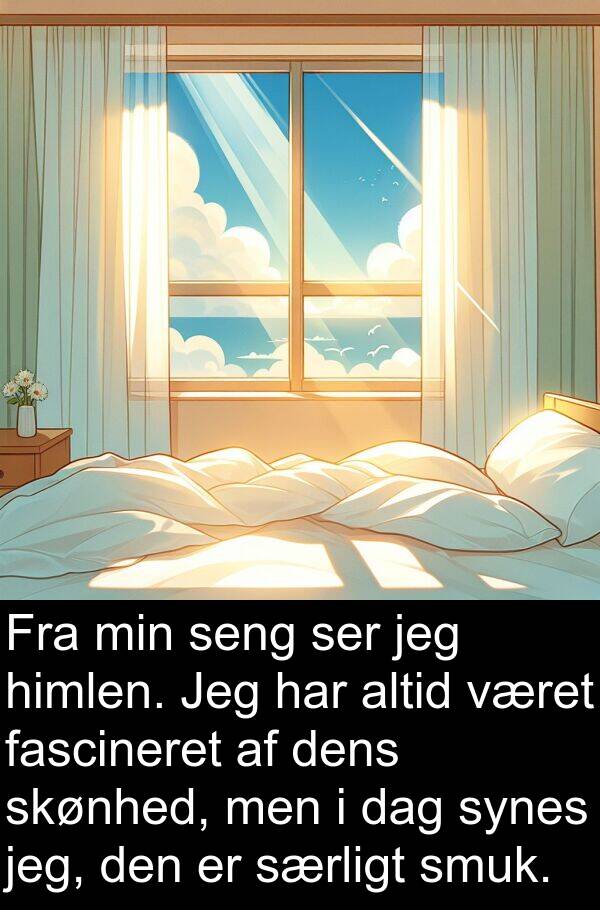 været: Fra min seng ser jeg himlen. Jeg har altid været fascineret af dens skønhed, men i dag synes jeg, den er særligt smuk.