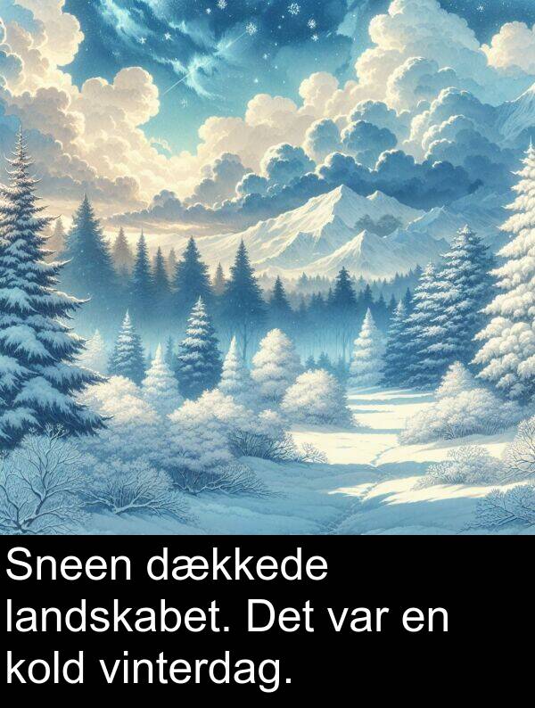 vinterdag: Sneen dækkede landskabet. Det var en kold vinterdag.