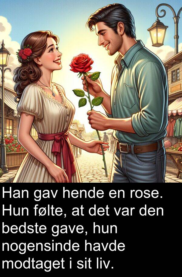 modtaget: Han gav hende en rose. Hun følte, at det var den bedste gave, hun nogensinde havde modtaget i sit liv.