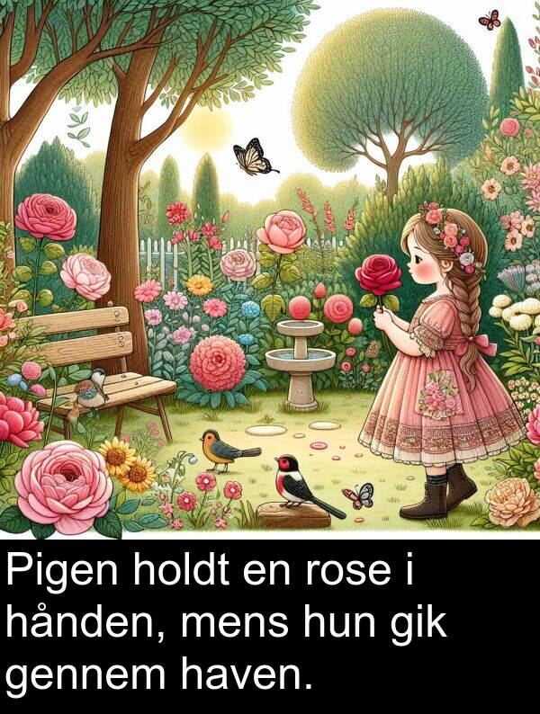 haven: Pigen holdt en rose i hånden, mens hun gik gennem haven.